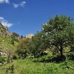 16sassi