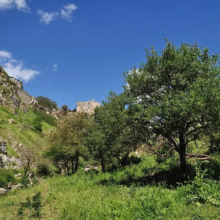 16sassi